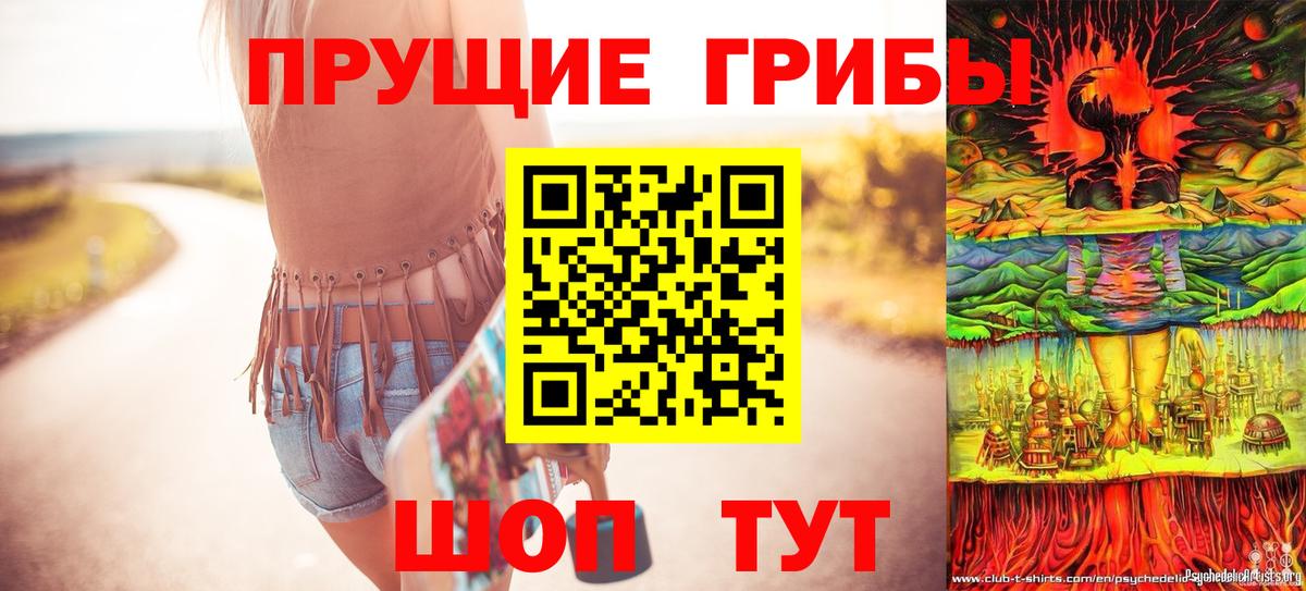 Галлюциногенные грибы Cubensis Будённовск