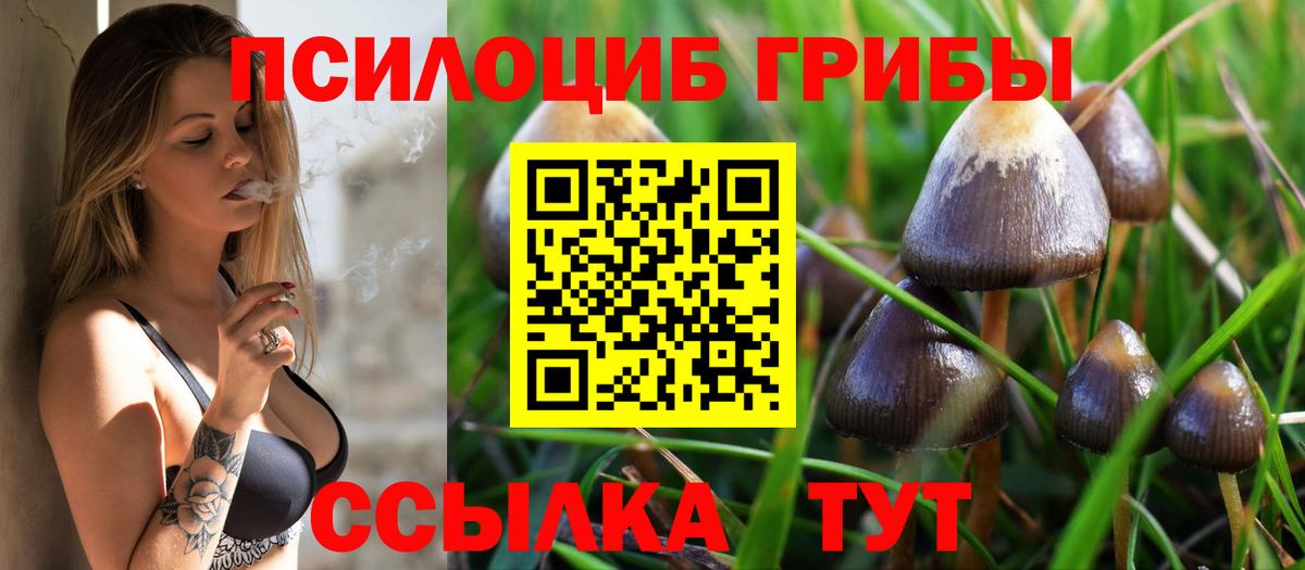 купить  сайты  Вход с VPN  Будённовск  Псилоцибиновые грибы прущие грибы 